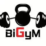 Športno društvo Big gym