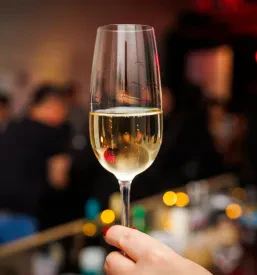 Degustacije belokranjskega vina Črnomelj