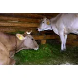Agrarna skupnost Mala Planina