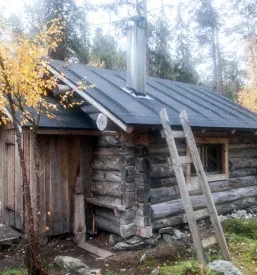 Večja lesena brunarica v gozdu