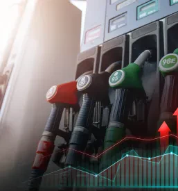 Bencinski servis Petrol Vitanje, Dobrna
