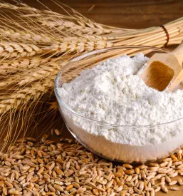 organic grain and hay
