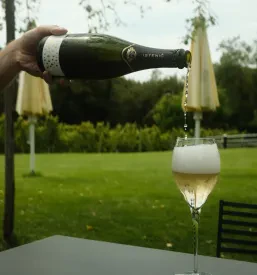 Degustacije penin Slovenija