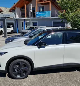 Prodaja Forthing Štajerska