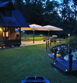 Domača vina Kozje