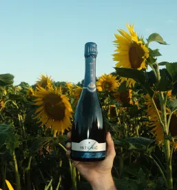 Degustacije vrhunskih vin in penin Slovenija