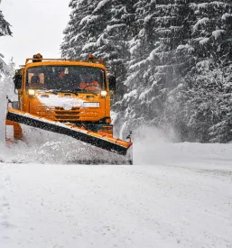 Oranžni tovornjak s plugom čisti sneg z zasnežene ceste, obdane z gozdom.