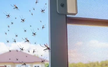 Kako izbrati pravi komarnik za miren poletni spanec?