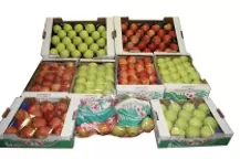 prodaja domacih jabolk v sloveniji 3.jpg