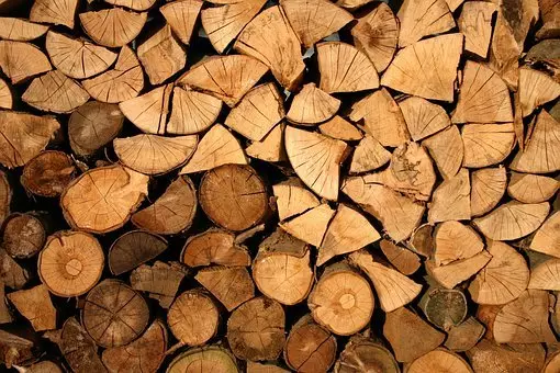 ugoden posek lesa notranjska 6
